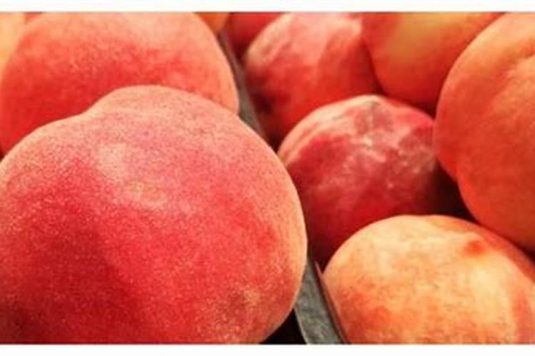 酸性土壤适合种植什么花