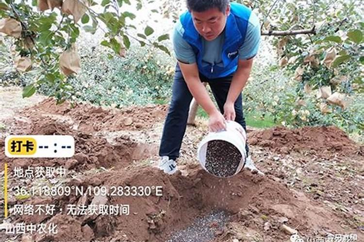 谁在卖东北黑土？ 黑生意一直都在...