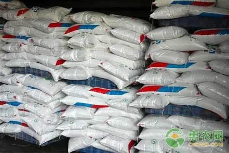 豆角生长期怎么浇水？如何提高豆角的产量？