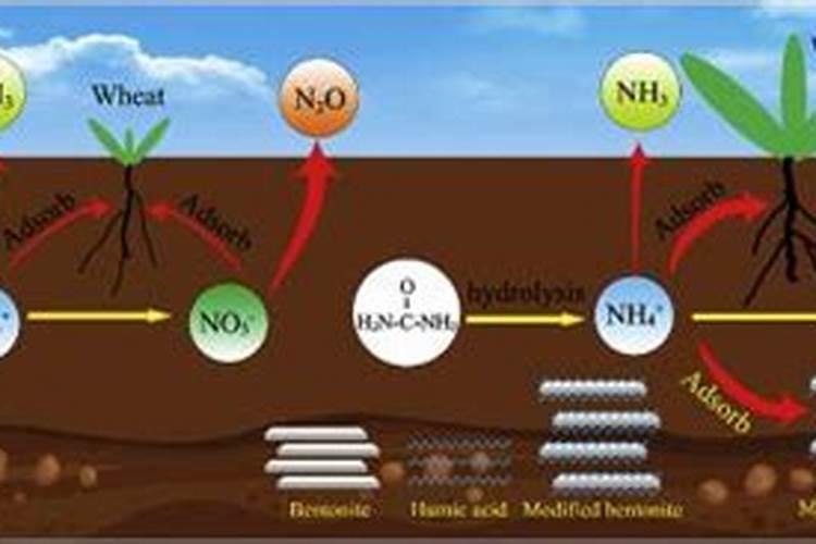 金正大16834水溶肥效果好不好