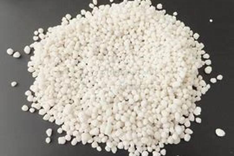 砂糖橘春季施肥方法