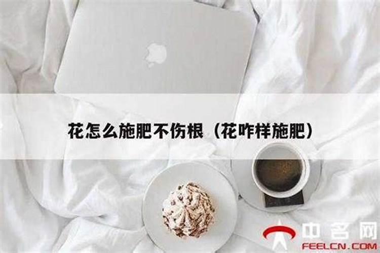 怎样使用花肥？