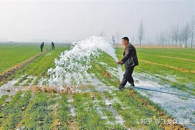 苹果和橘子能一起榨汁吗