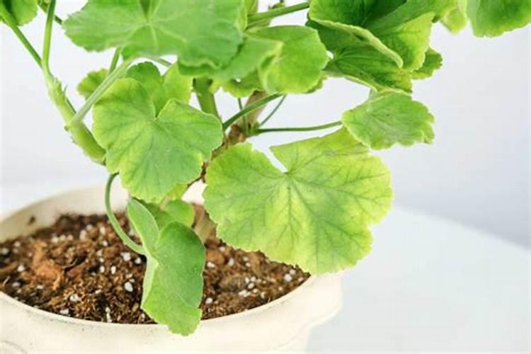 启东晋盛大公化工有限公司基本信息