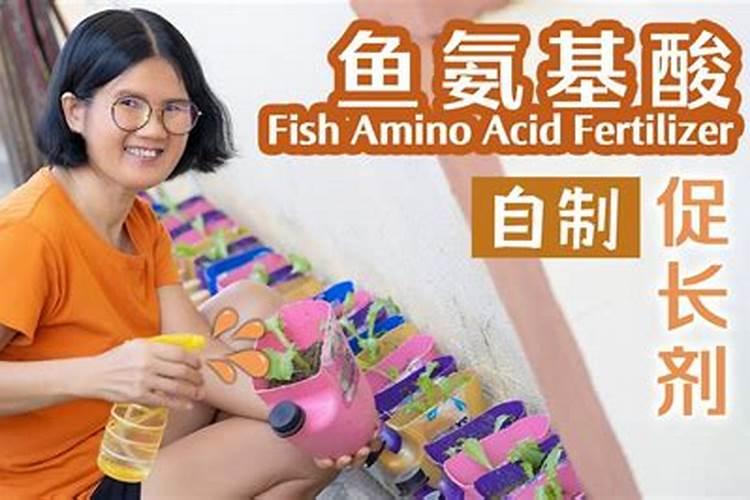 金枝玉叶上什么肥