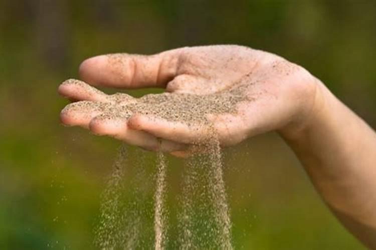 常见中微量元素肥料有哪些？看完记得收藏!