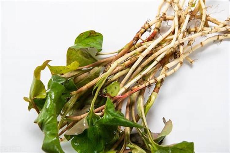 金点原子智能锁怎么样