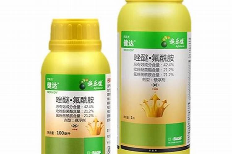 硝态氮和铵态氮哪个肥效快