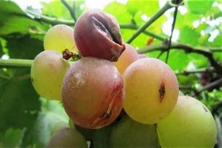 哪些上市公司生产硅