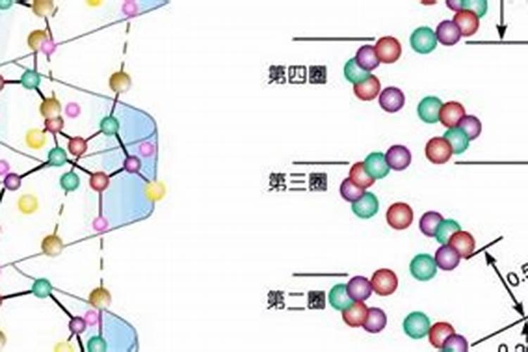 芸豆施什么肥长得最好 芸豆怎么施肥