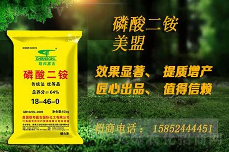 二铵能当花肥给芍药花能用吗？