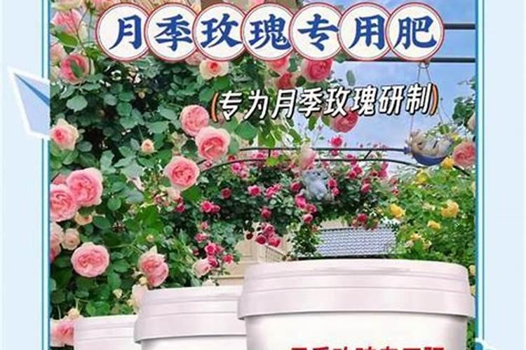 广东有哪些高塔化肥厂