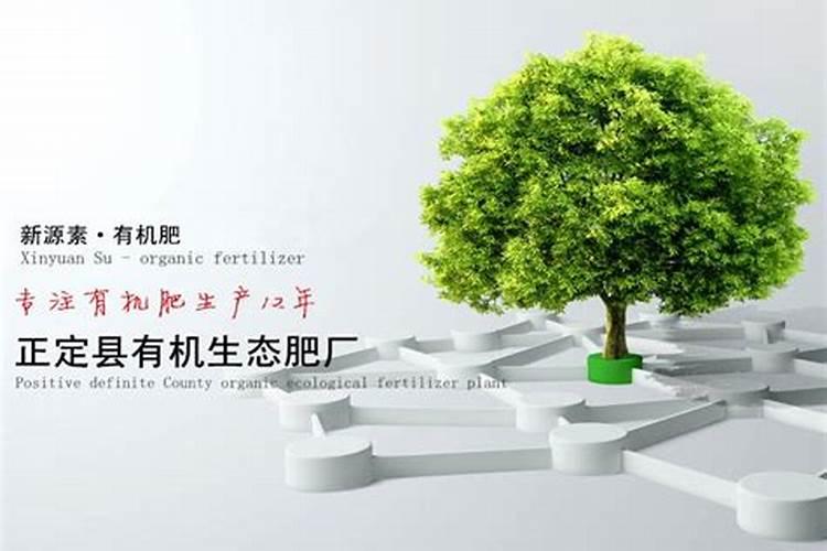 柿子如何合理施肥？专家讲解需肥特点及施肥技术,种出来的柿子个大量多...