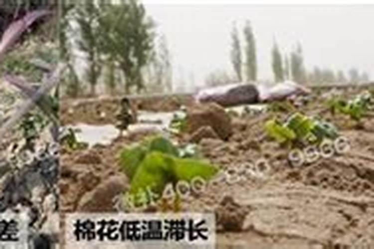 化肥用多了对土地有什么影响