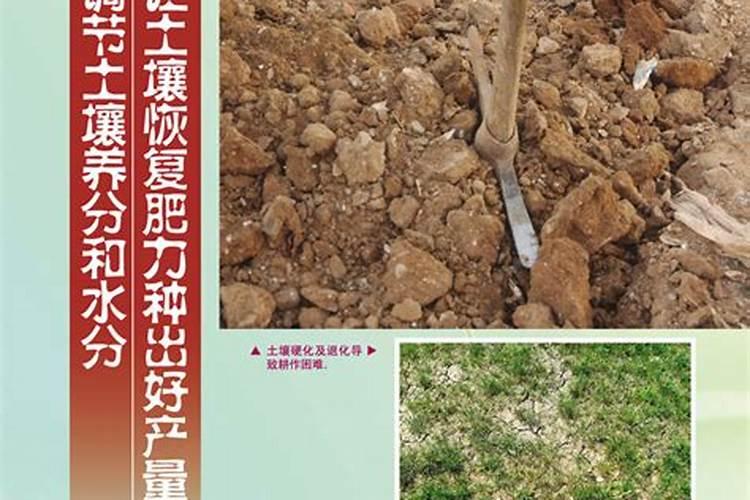 玉米秸秆有什么用途