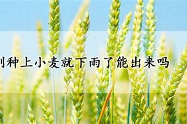 螯合肥料用在什么农作物