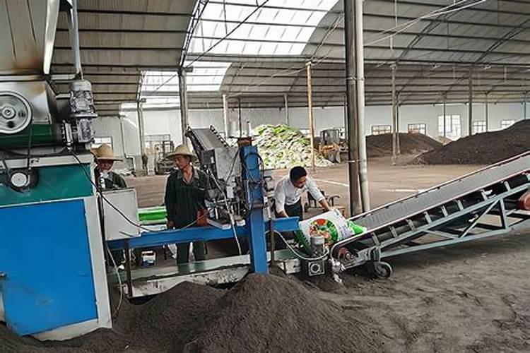 黄瓜秧头扣着不长怎么办