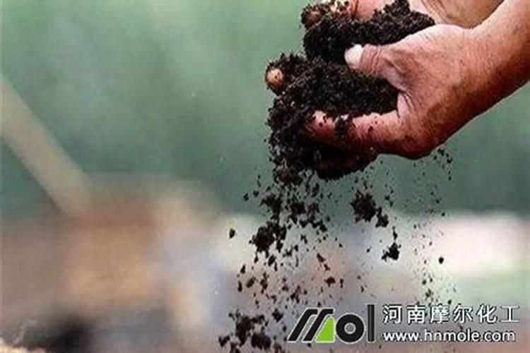 芸苔素内酯使用方法与用量