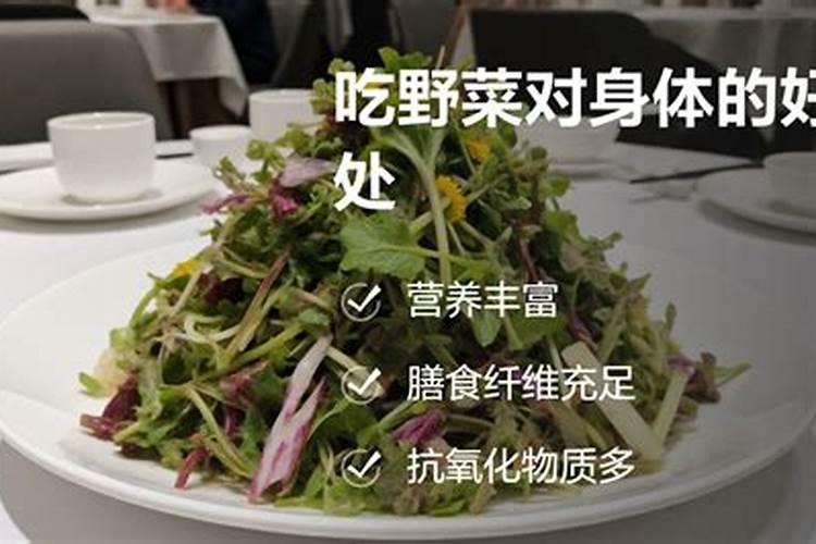 六月雪怎么施肥