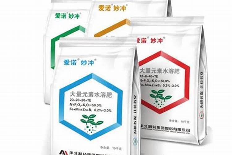 沉香树一般生长在哪里？