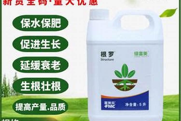 二氢卟酚铁加腐殖酸叶面肥喷施草莓苗有什么作用