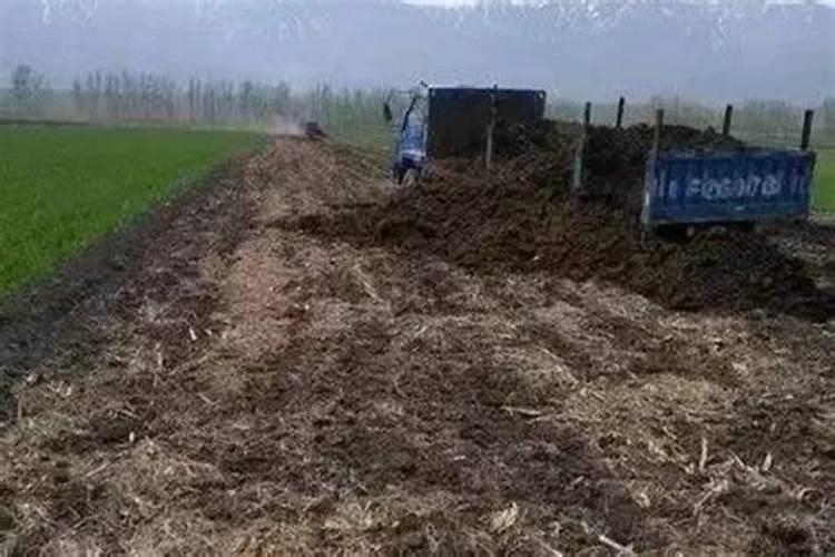 番茄坐果后怎样施肥？西红柿叶面肥喷施注意什么？