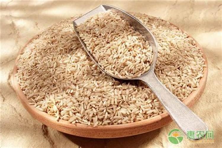 蔬菜作物氮素过多有哪些症状？怎样防治？