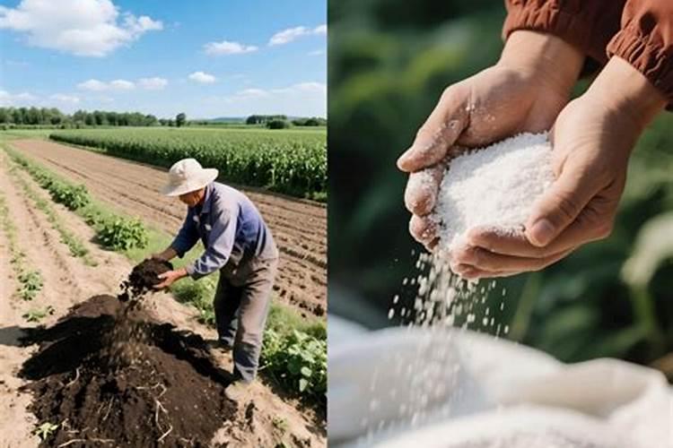 哪种肥料含氮肥高