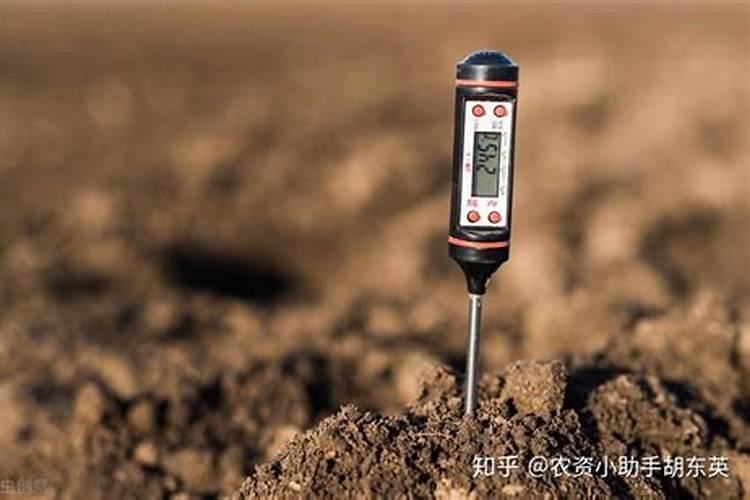 矿源黄腐酸钾多少钱一吨？矿源黄腐酸钾有什么作用？