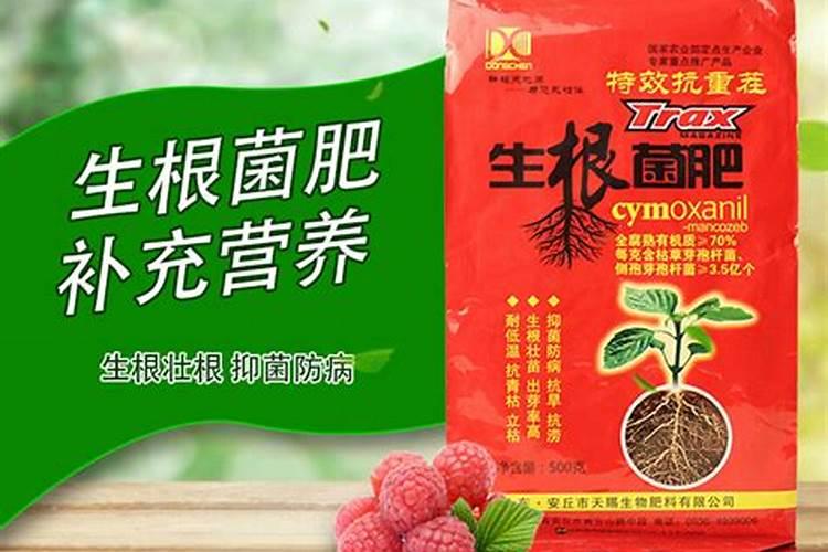 菌肥起什么效果,菌肥怎么使用效果好,注意事项