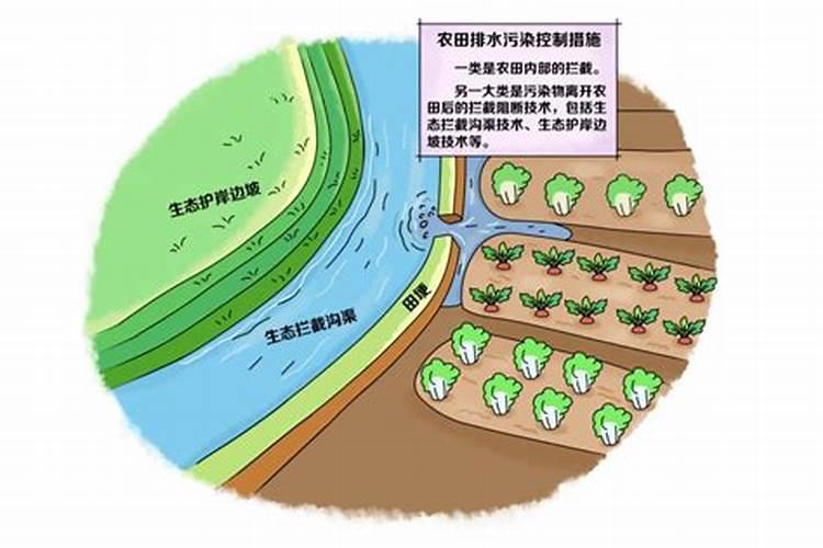 血钾高低的症状及危害