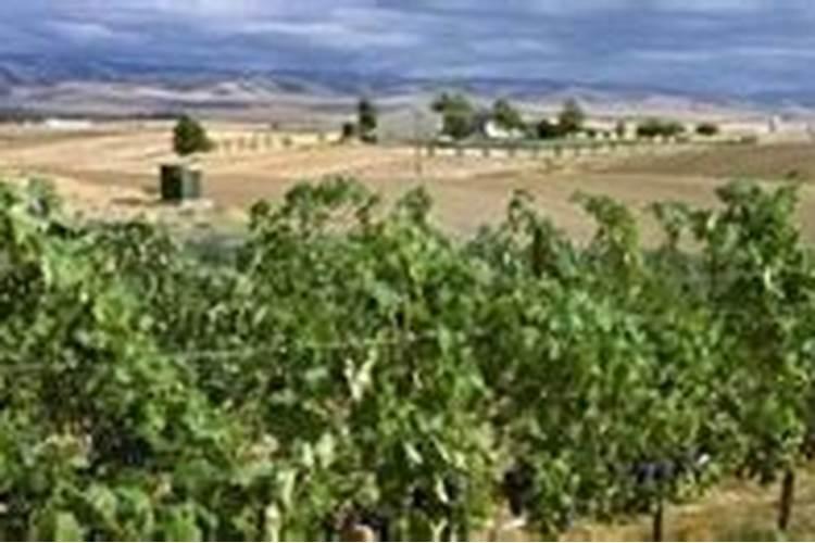 海藻肥13527的使用方法