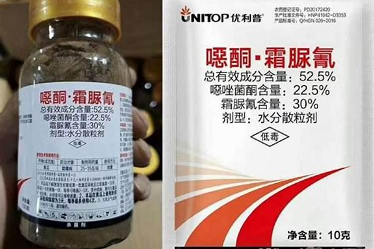 麦冬草几年开花结果