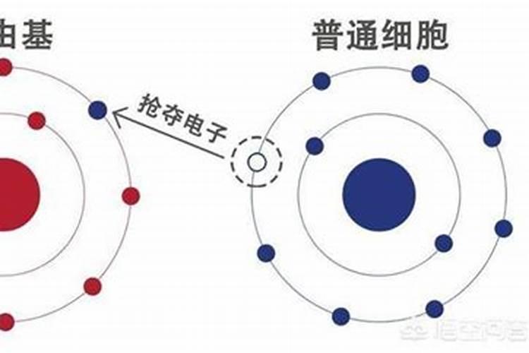 氨基酸叶面肥有哪些作用？