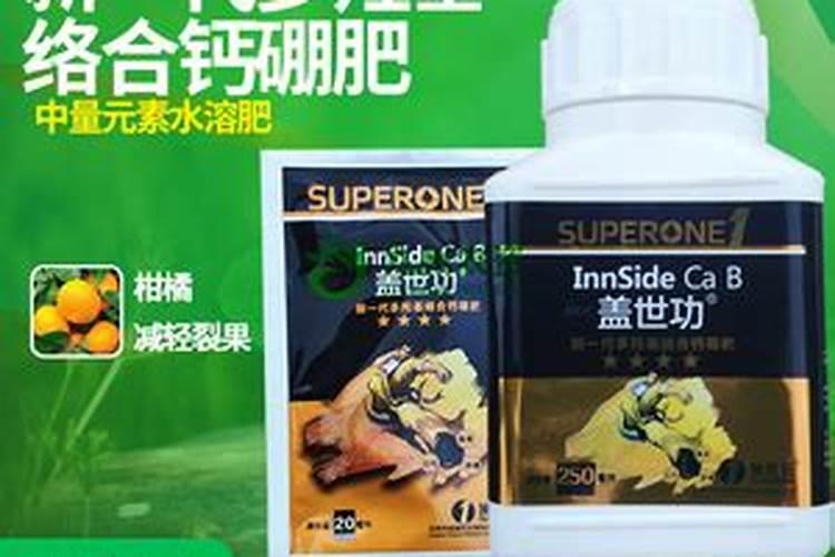 花椰菜保存的最佳方式是什么？
