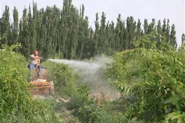 请问给温室里的植物喷洒叶面肥,阴天或者下雨天气行不行？