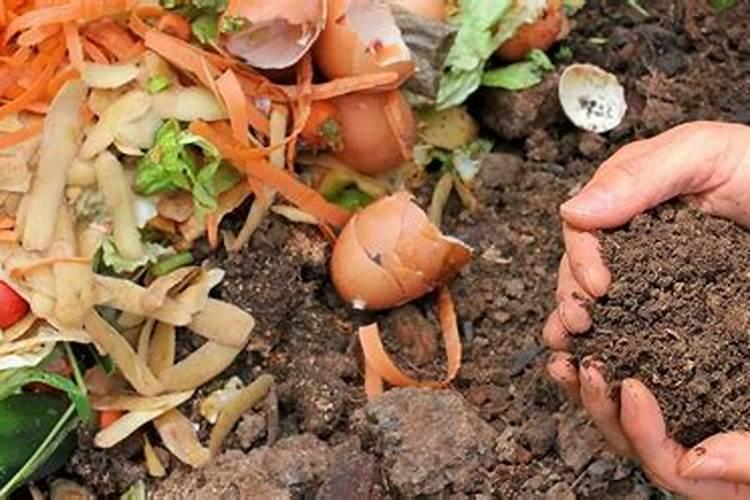 菜叶埋土里当肥料处理方法