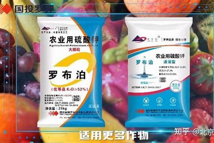 荔枝保果期用那种钾肥好