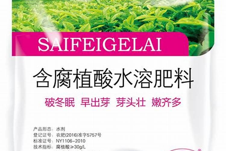 君子兰夏天怎么浇水施肥 夏季养护方法