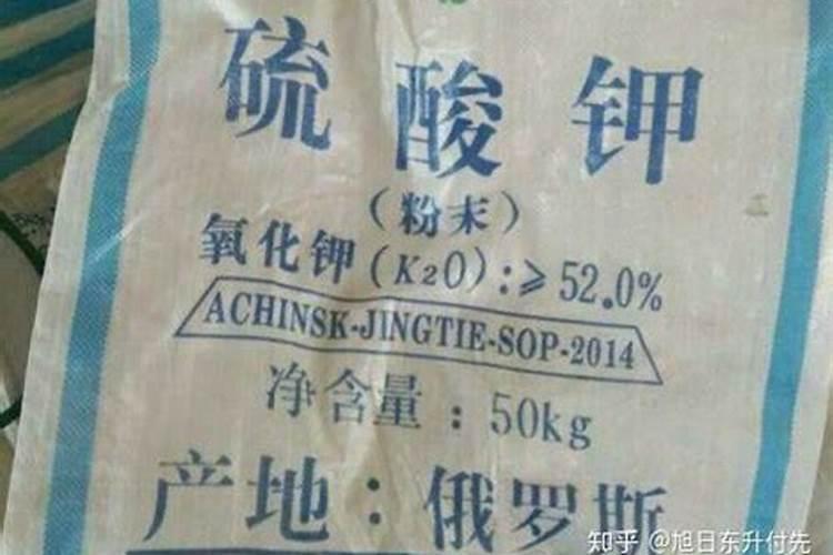 映山红怎样施肥 映山红施肥时间和方法