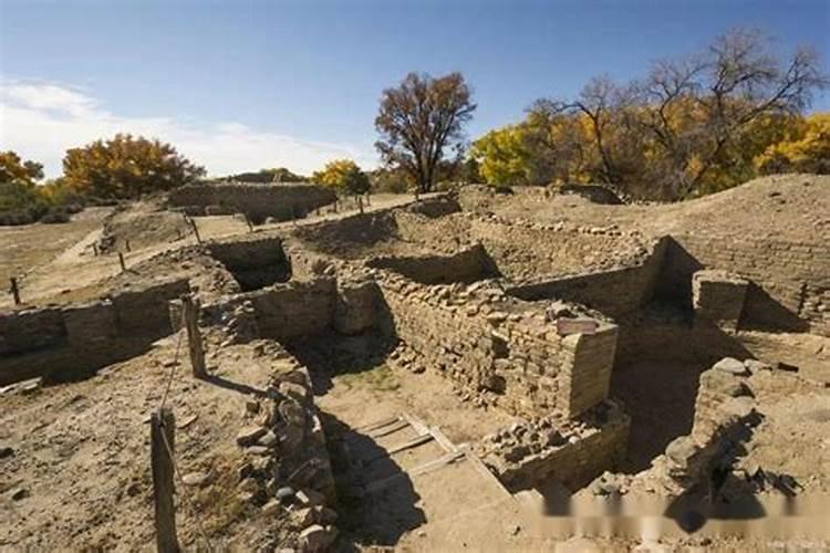 司普沃教您一招轻松解决西瓜缺硼症