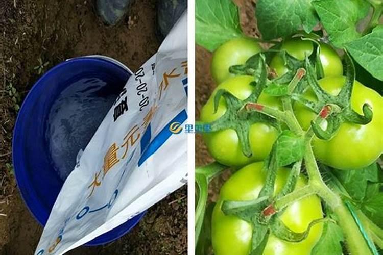 裴旺水溶高效水溶肥是什么地方产的？