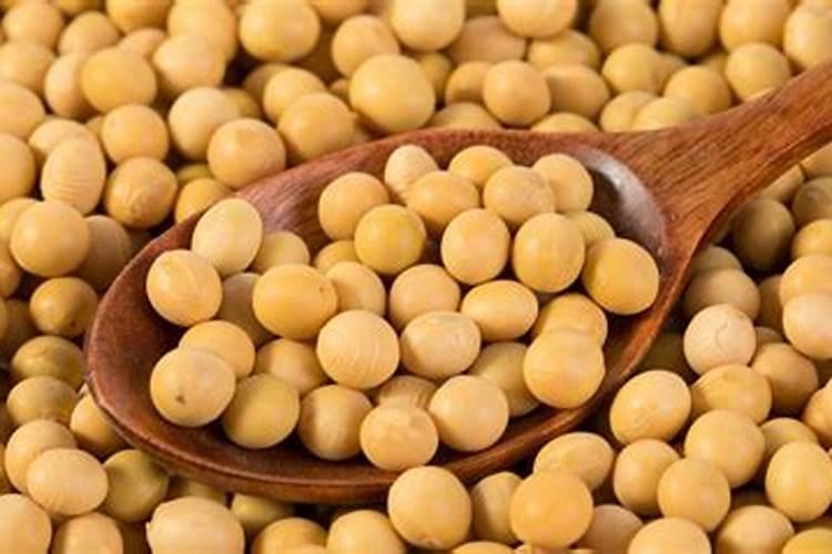 发酵的黄豆水可以浇果树吗