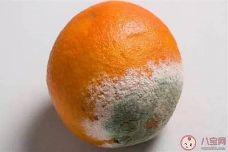 中量元素水溶肥的作用与功效 中量元素水溶肥什么时候用合适