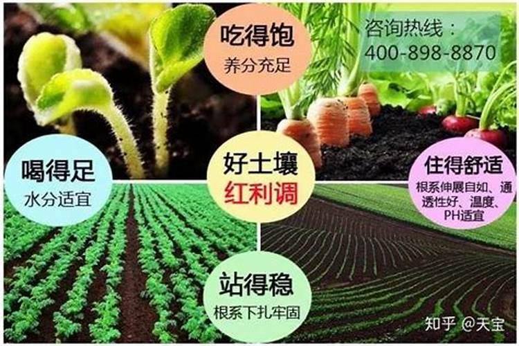 淘米水浇菜的正确方法