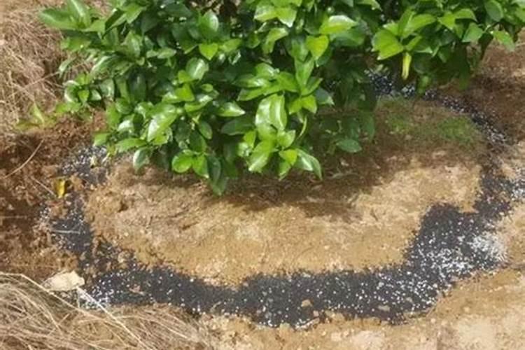 果树药打多了怎么办