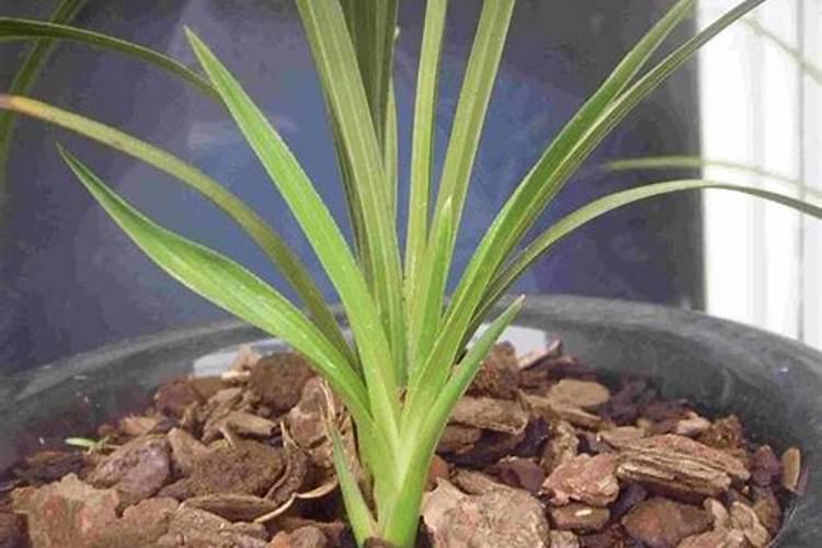 农用尿素哪家质量好