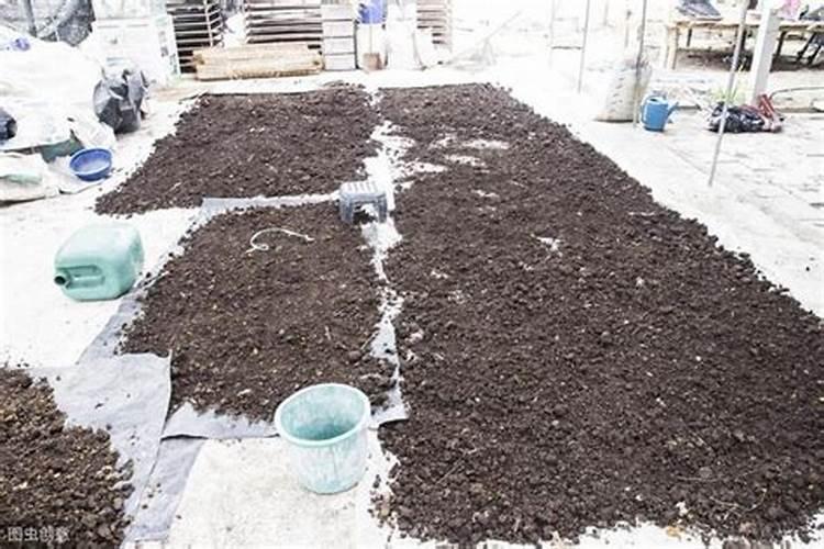 农家肥的正确使用方法