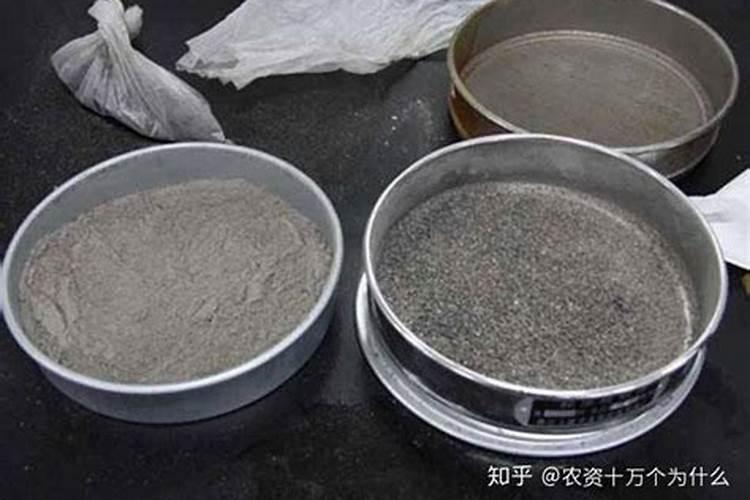 芦荟用什么肥料长得快