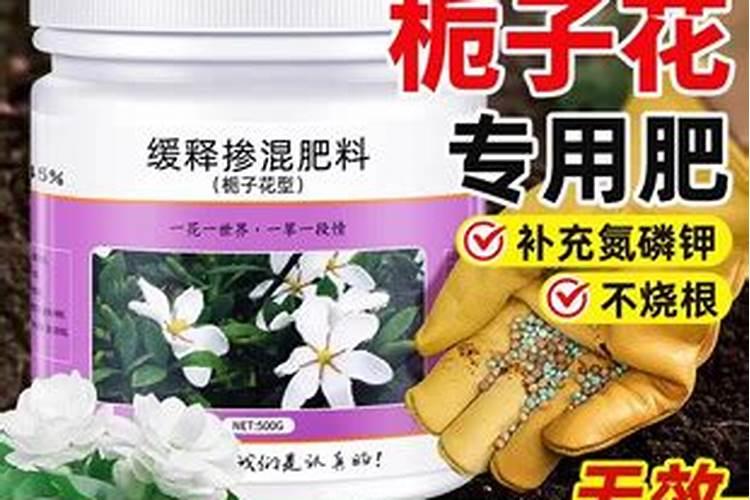 花生什么时候打芸苔素 如何使用才能提高产量